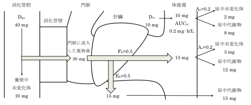 解説画像